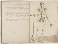 KT 2001 142
<br/>
Geraamtens en Anatomi Beelden
<br/>
<em>Claterbos, Augustijn (1750-1828)</em>